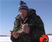 Видео "Мужская компания" - Озеро Алабуга. Зимняя ловля окуня
