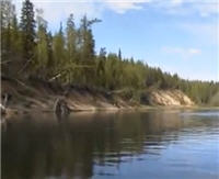 Видео "Серебряный ручей" - Со спиннингом по малым рекам 