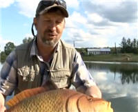 Видео «Моя рыбалка» — Владимирская область, "RocketCarp 2012". Часть 1 (48 выпуск)
