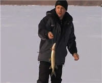 Видео "О рыбалке всерьез" - Ловля щуки на жерлицу