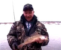 Видео «Рыболов-Элит» — Простая снасточка для капризного хищника