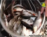 Видео «Рыбалка на Руси» — Август 2013