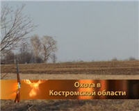 Видео «Главная охота» — Охота в Костромской области 