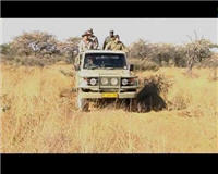 Видео «Главная охота» —  Охота в Африке
