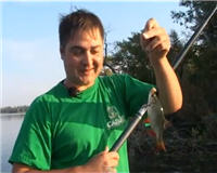 Видео «О рыбалке всерьез» — Ловля осенью "белой рыбы" болонской удочкой