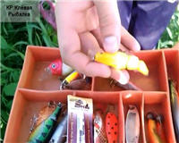 Видео «Клёвая рыбалка» — Новый Свимбейт