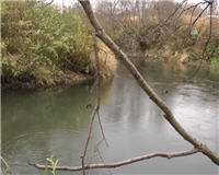 Видео «Рыболовный дневник» — Ловля щуки на спиннинг осенью на малых реках