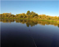 Осенняя рыбалка на реке Дон 