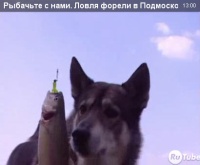 Видео "Рыбачьте с нами" - Ловля форели в Подмосковье