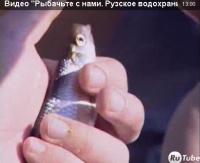 Видео "Рыбачьте с нами" - Рузское водохранилище. Уклейка.