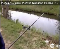 Видео "Рыбачьте с нами" - Рыбхоз Таболово. Плотва, карп.