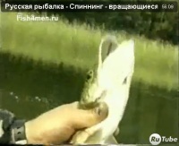Видео "Русская рыбалка" - Спиннинг - вращающиеся блесна