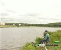 Видео "Рыбачьте с нами" - Ловля на пруду