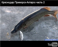 Видео "Диалоги о рыбалке" - Краснодар. Приморск-Ахтарск. Щука. Часть 2