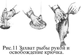 Захват рыбы