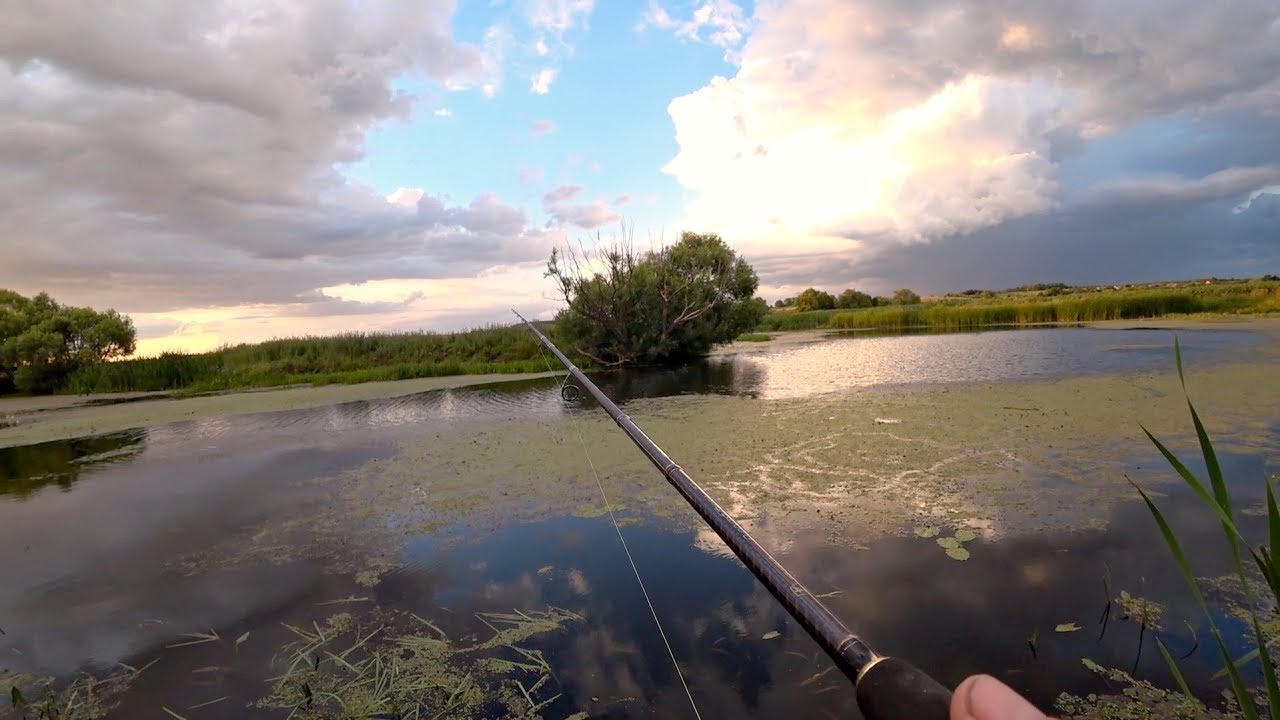 Рыбалка на красивой заросшей речке - Рыбалка 68