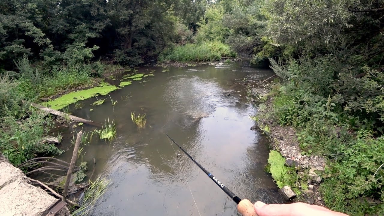 Рыбалка на спиннинг на маленькой речке - Рыбалка 68