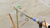 Карась на донку весной — Рыбалка на реке