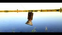 Ловля дикого сазана и пеленгаса на реке - Дневник рыболова