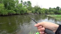 Рыбалка на лесной речке — Рыбалка 68