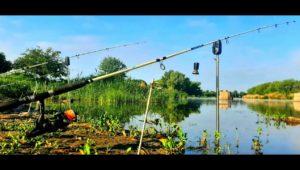 рыбалка в ростовской области видео ловля сома и сазана