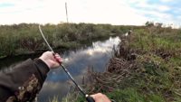 Спиннинг на ручье — Рыбалка 68