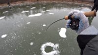 Щедрый лед на лесном озере - Рыбалка 68