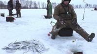 Ловля чехони со льда — Рыбалка 62