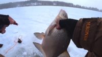 Рыбалка в февральском глухозимье - Рыбалка 62