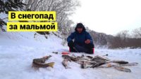 В снегопад за мальмой — Борис Рябченков