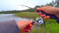 Рыбалка на спиннинг в траве - Павел Теплов