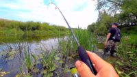 Рыбалка на заросшей речке — Павел Теплов