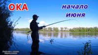 Рыбалка на Оке на боковой кивок — Рыбалка с дедом Маркелычем