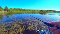 Рыбалка на лесном карьере и реке - Павел Теплов