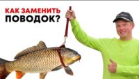 Как привязать и сменить поводок — Рыбалка с Алексеем Ромашиным