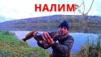 Донки на налима — Рыбалка с дедом Маркелычем
