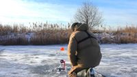 Жерлицы по первому льду 2022 - 2023 - Рыбалка 62