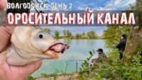 Знакомство с оросительным каналом Волгодонска — Рыболовный дневник
