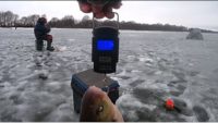 Ловля леща зимой — Рыбалка 62