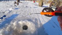 Ловля окуня на безмотылку со льда - Павел Теплов