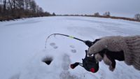 Щедрый лёд на реке — Рыбалка 68