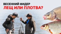 Весенний фидер на реке — Рыбалка с Алексеем Ромашиным