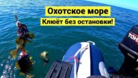 Рыбалка на Охотском море в штиль — Борис Рябченков