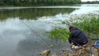 Ловля леща на мелководье — Рыбалка 62