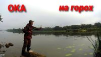 Рыбалка в середине сентября — Рыбалка с дедом Маркелычем