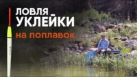 Уклейка на маховую удочку — Рыбалка с Алексеем Ромашиным