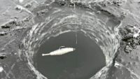 Ноябрьская рыбалка на лесном озере — Рыбалка с Сибиряком