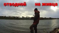 Ходовая донка в октябре — Рыбалка с дедом Маркелычем
