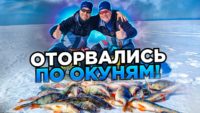 Байкальский окунь — FISHBROTHERS