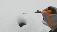 На мормышку в декабре — Рыбалка с Сибиряком